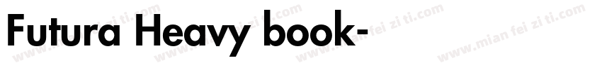 Futura Heavy book字体转换